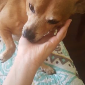 Not for sale 😂😂